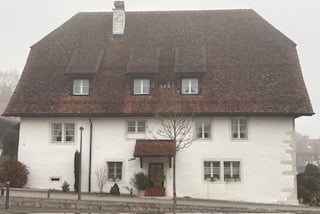 House with brown roof, white walls, 6 windows, brown awning, plants, chimney.