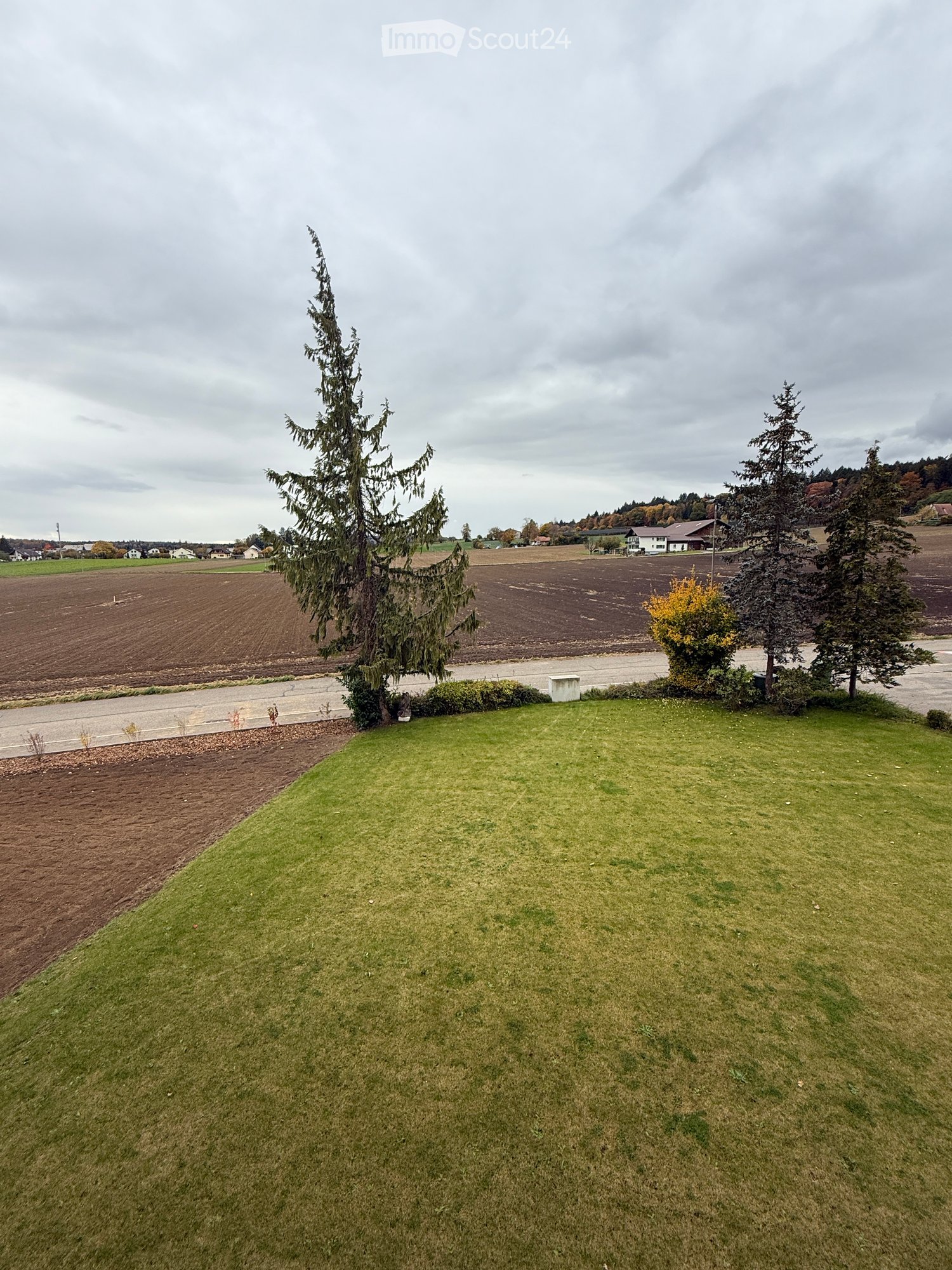 open lawn with few trees, brown dirt and green grass, farm land in the background