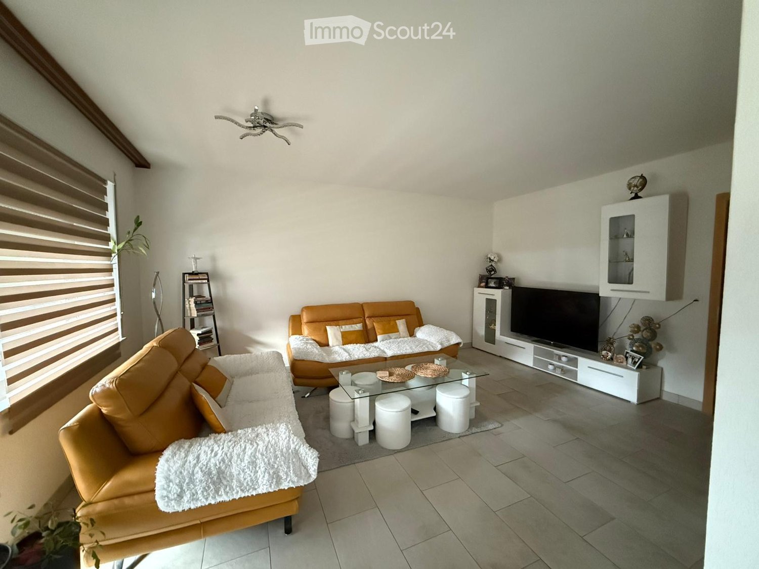 modern living room, two couches, glass coffee table, TV, shelves, potted plants