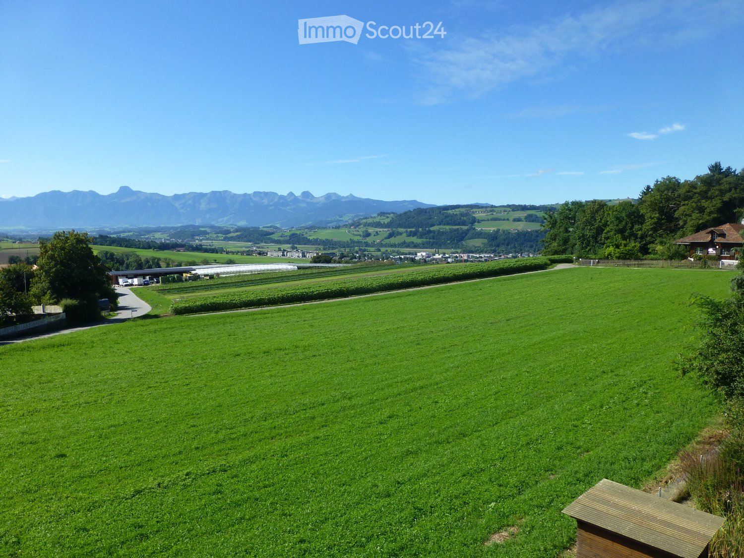 large green grass field, mountains in the background, trees around the field