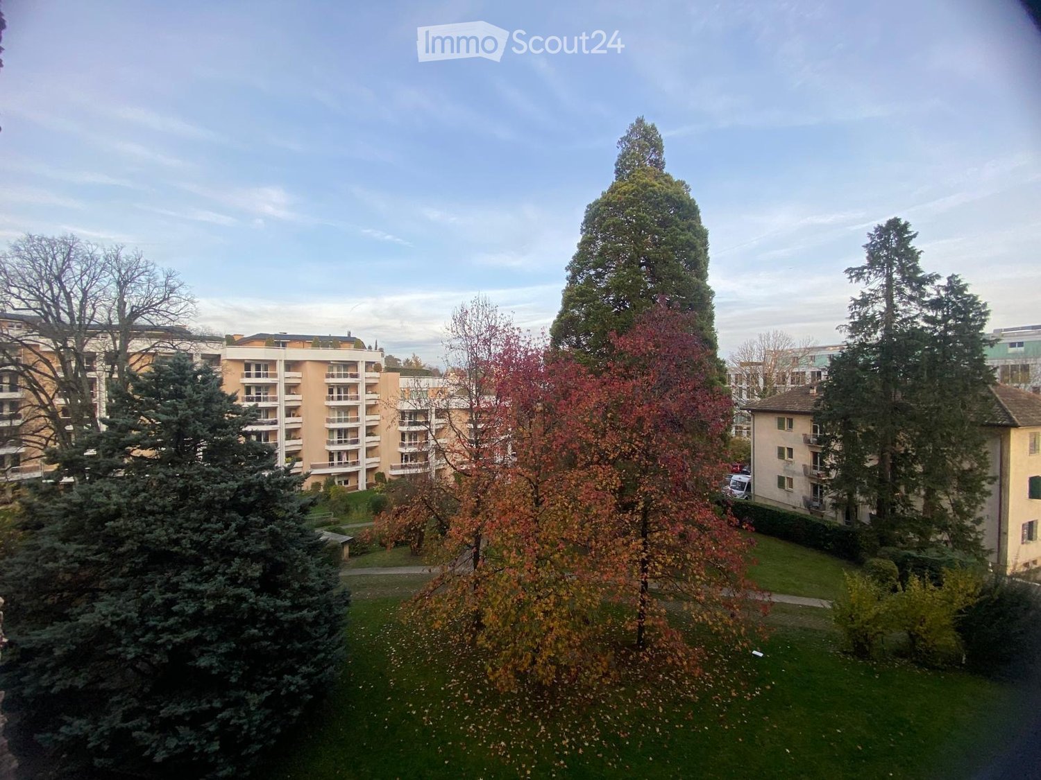 large green grass, trees, paved pathway, buildings in the background, clear blue sky