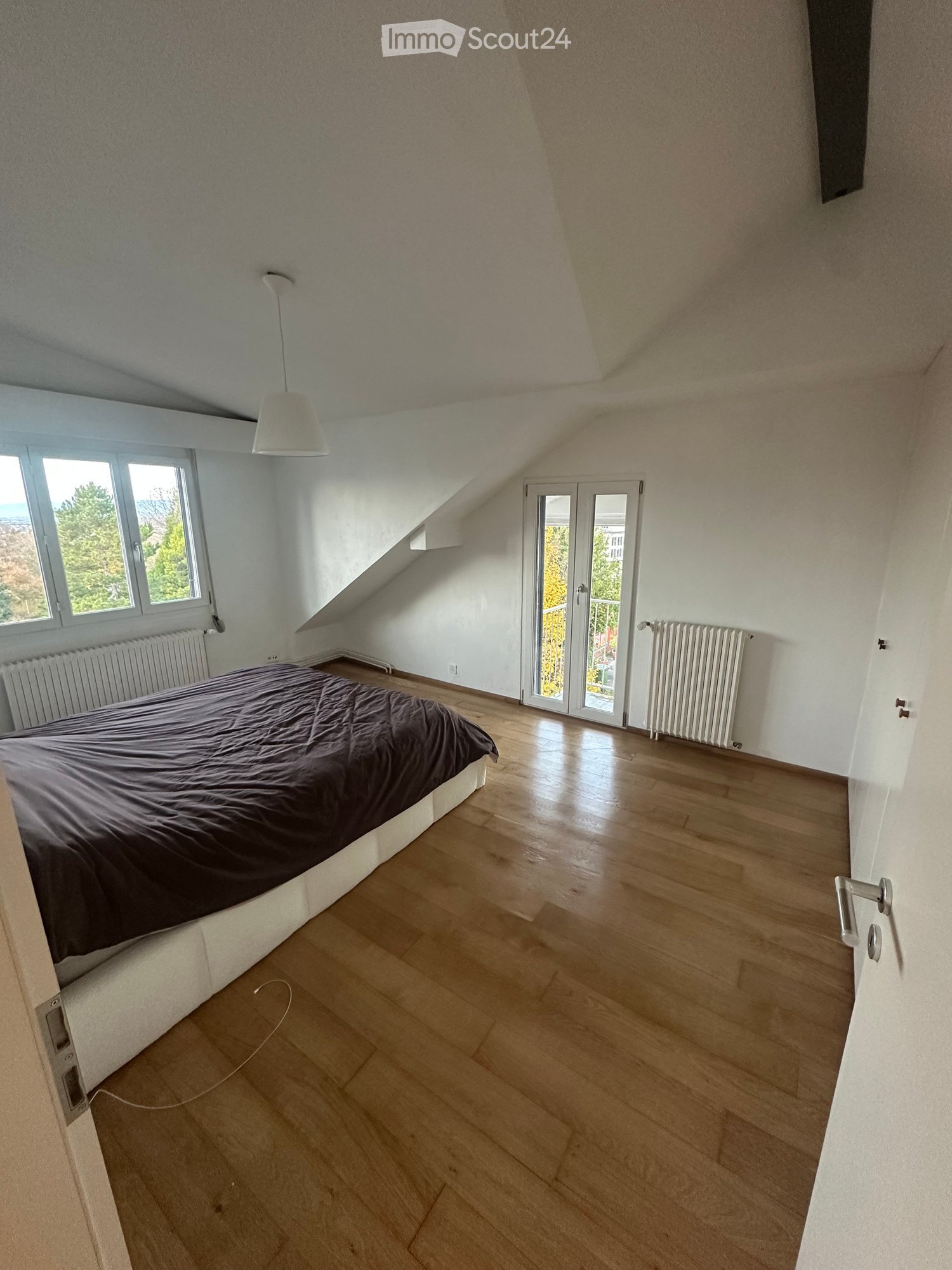 single bed, wooden floor, white walls, glass door, radiator, window