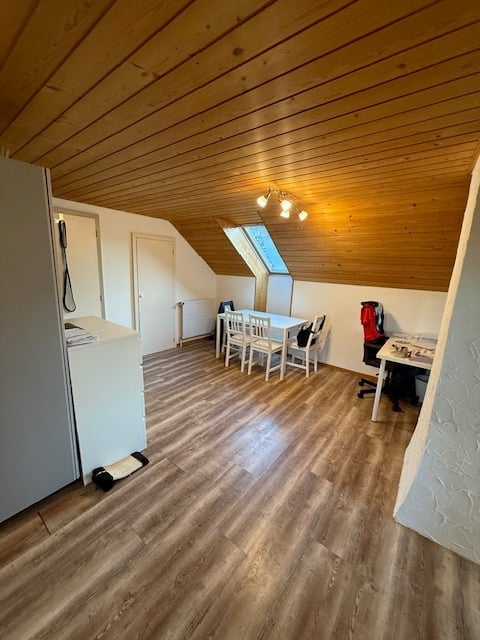 Wooden ceiling, white wall, table with chairs, desk, radiator, window