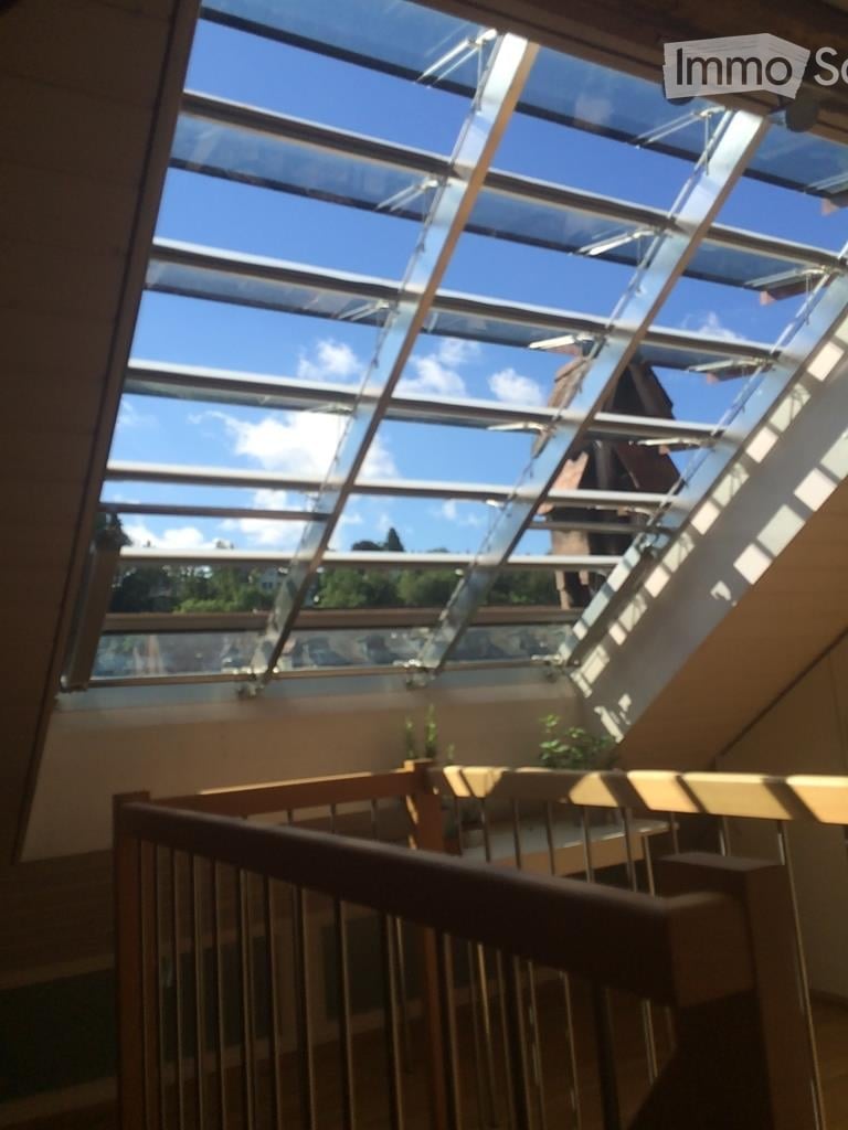 large glass skylight, wooden handrail, metal railing, plants