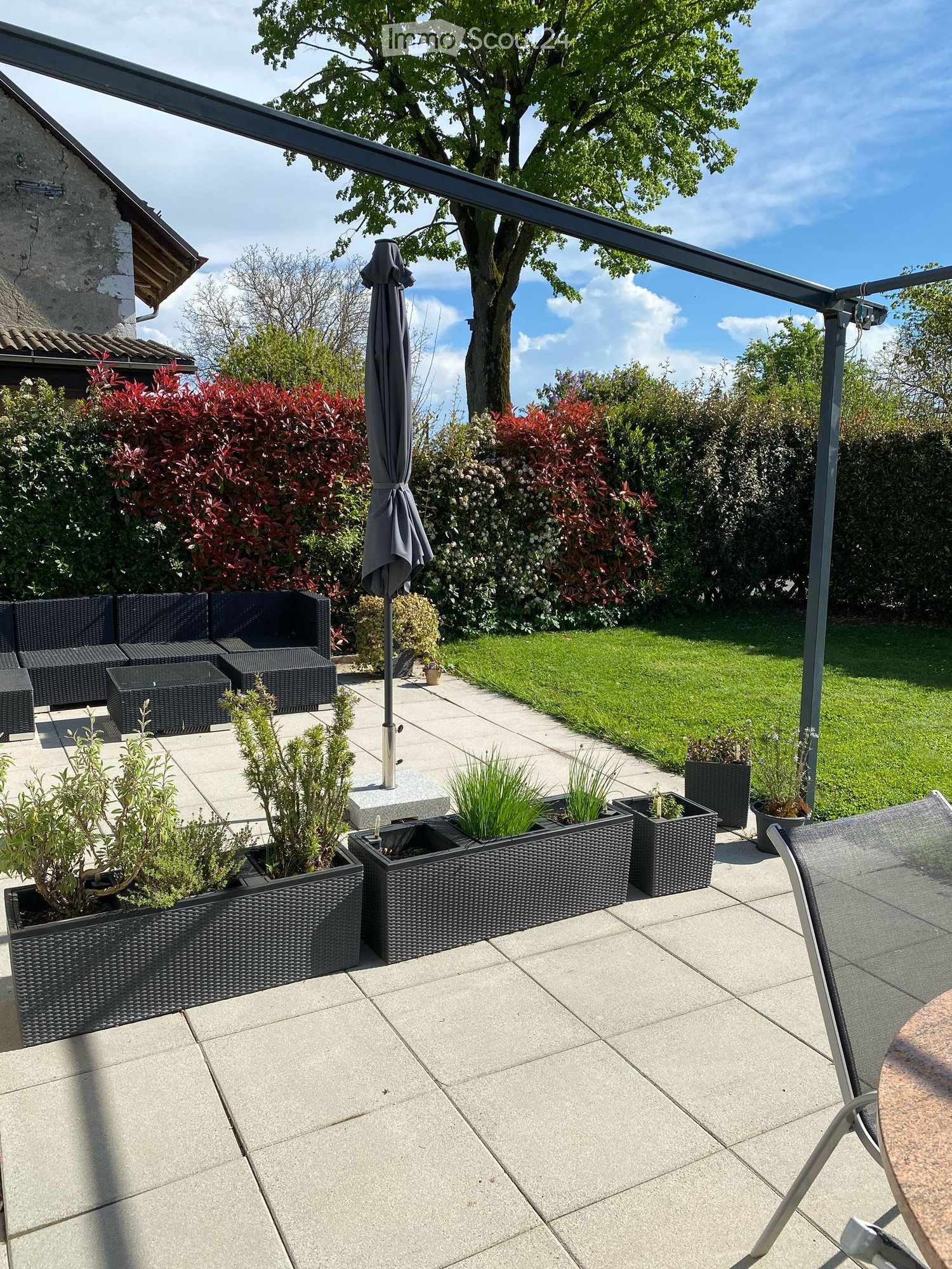 Patio area with metal awning, patio furniture, potted plants, trees, and lawn