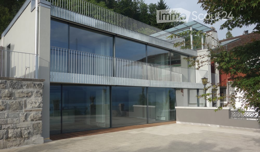 Modern house, glass walls, steel balcony, stone wall, paved driveway