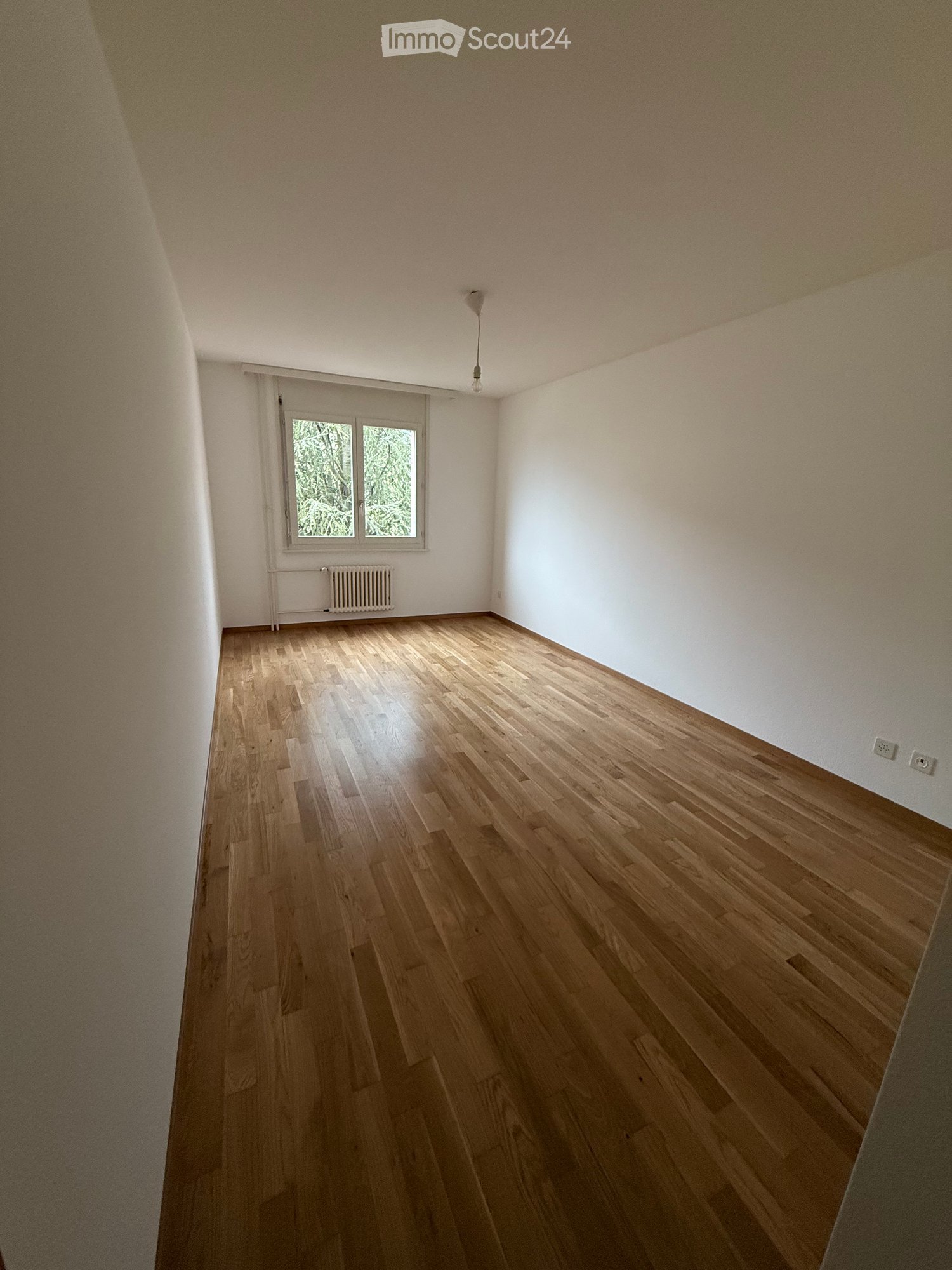Empty room, hardwood floor, windows, light fixture, radiator