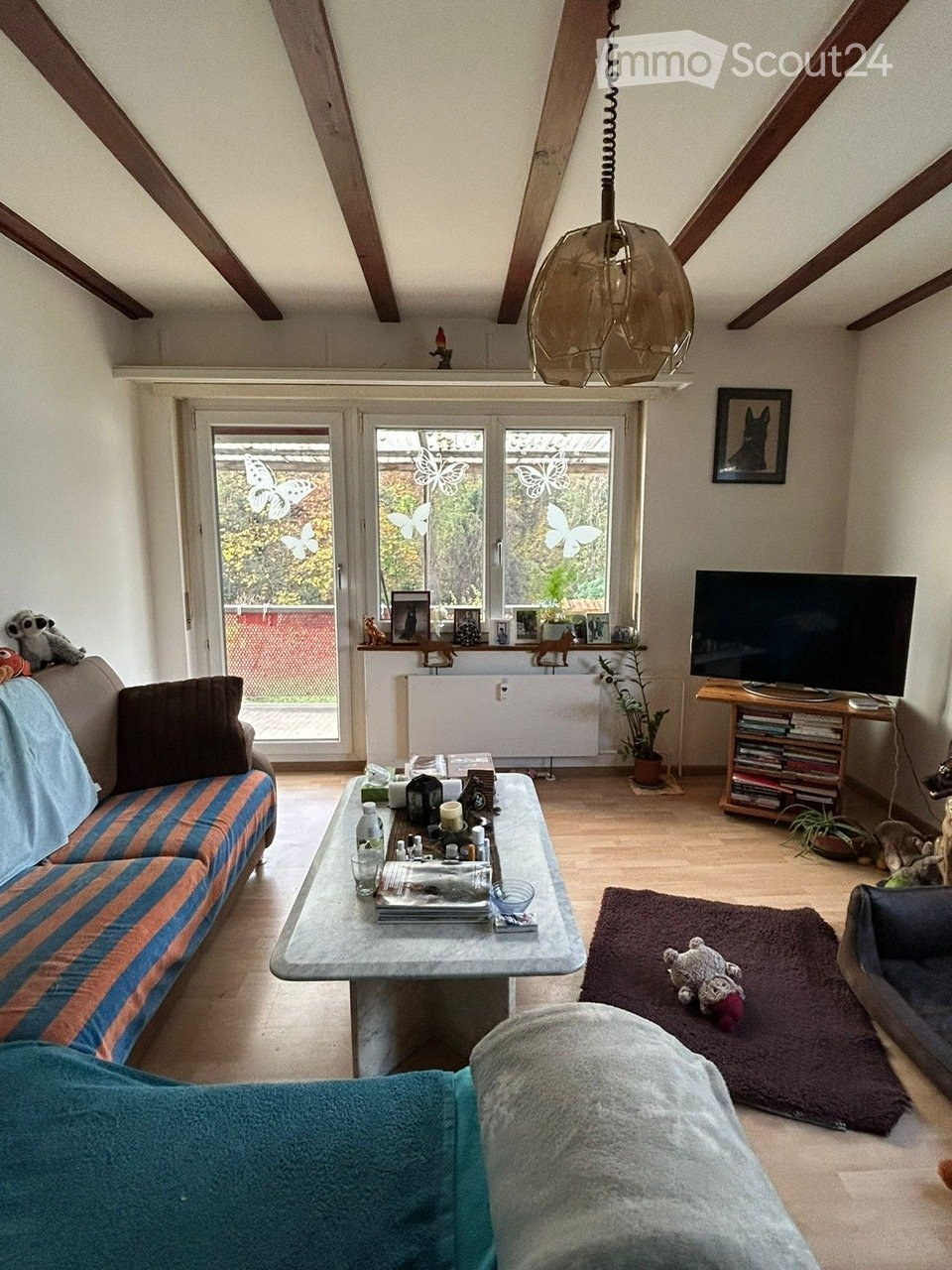 Living room with couch, coffee table, TV, wooden floor, ceiling lamp, double doors leading to glass balcony with butterfly stickers, plants on balcony sill, radiator, and decorative items on shelves.