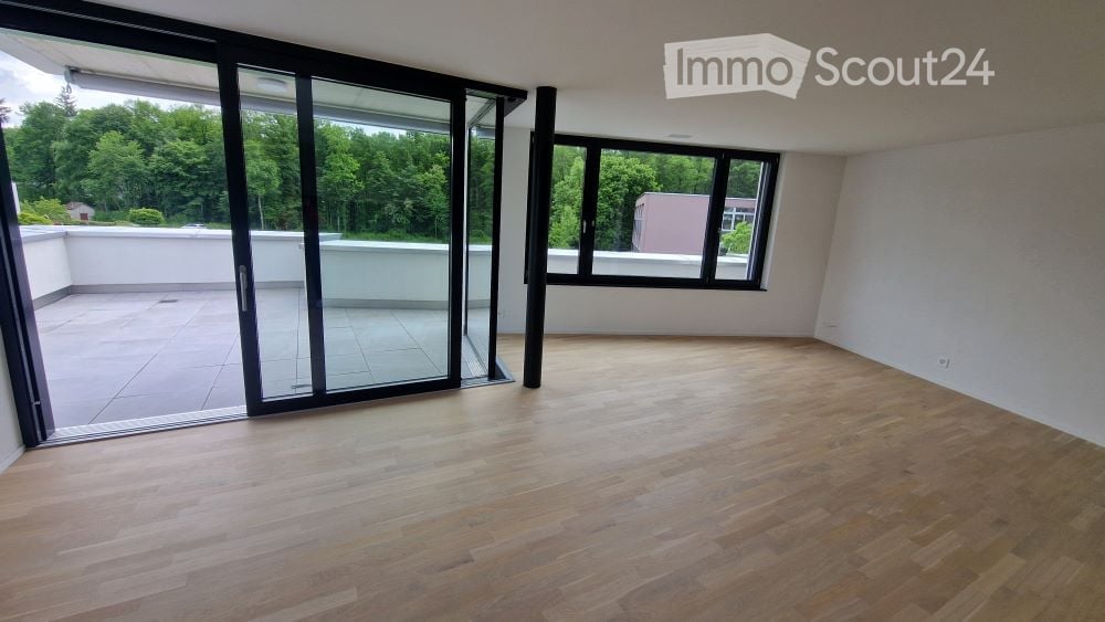 sliding doors, wooden floor, balcony, large windows, view