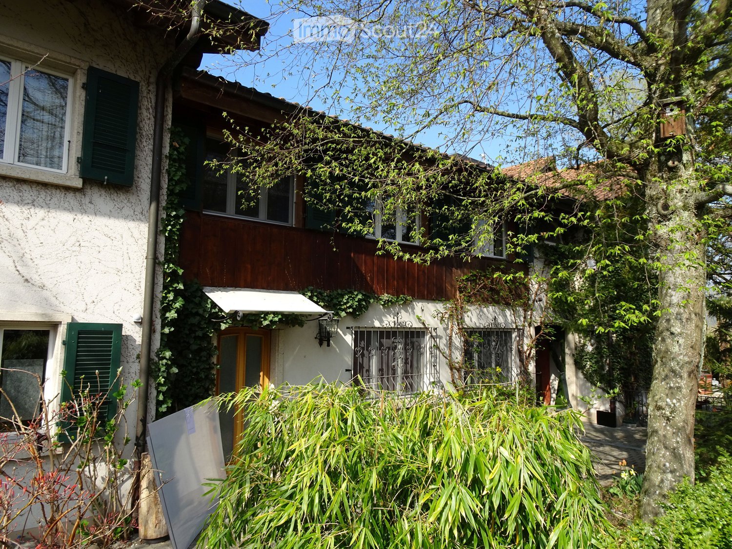 House with a brown wooden facade, white walls with green shutters, roof with green plants and a small balcony on the first floor. Large tree and shrubs in front.