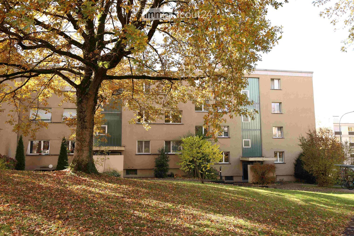 Three story building, tan colored facade, green accent walls, multiple windows, large tree in front, grassy lawn