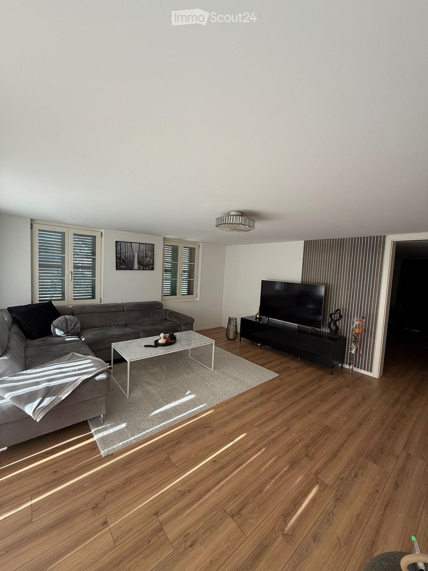 Living room, modern furniture, gray couch, wooden floor, large windows, TV stand, entertainment center, decorative items
