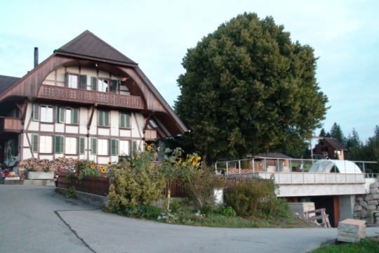 2-story wooden house, with a balcony, wooden fence around the house, garden with flowers and plants, concrete pathway, and a tree in the front yard