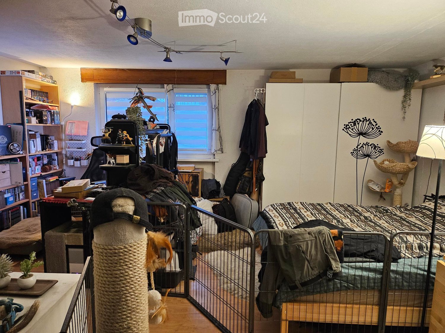 cluttered room, bed, desk, bookshelves, open gate, plants, lamps