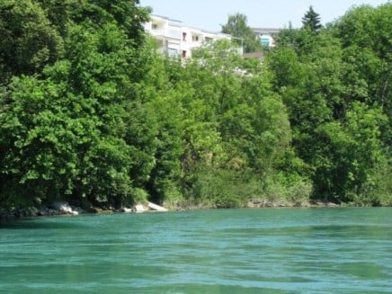River view with lush green trees and plants, building with many windows on the hill in the background