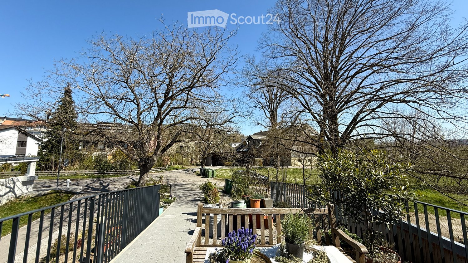 Wooden fence, multiple trees, large grassy area, wooden bench, potted plants