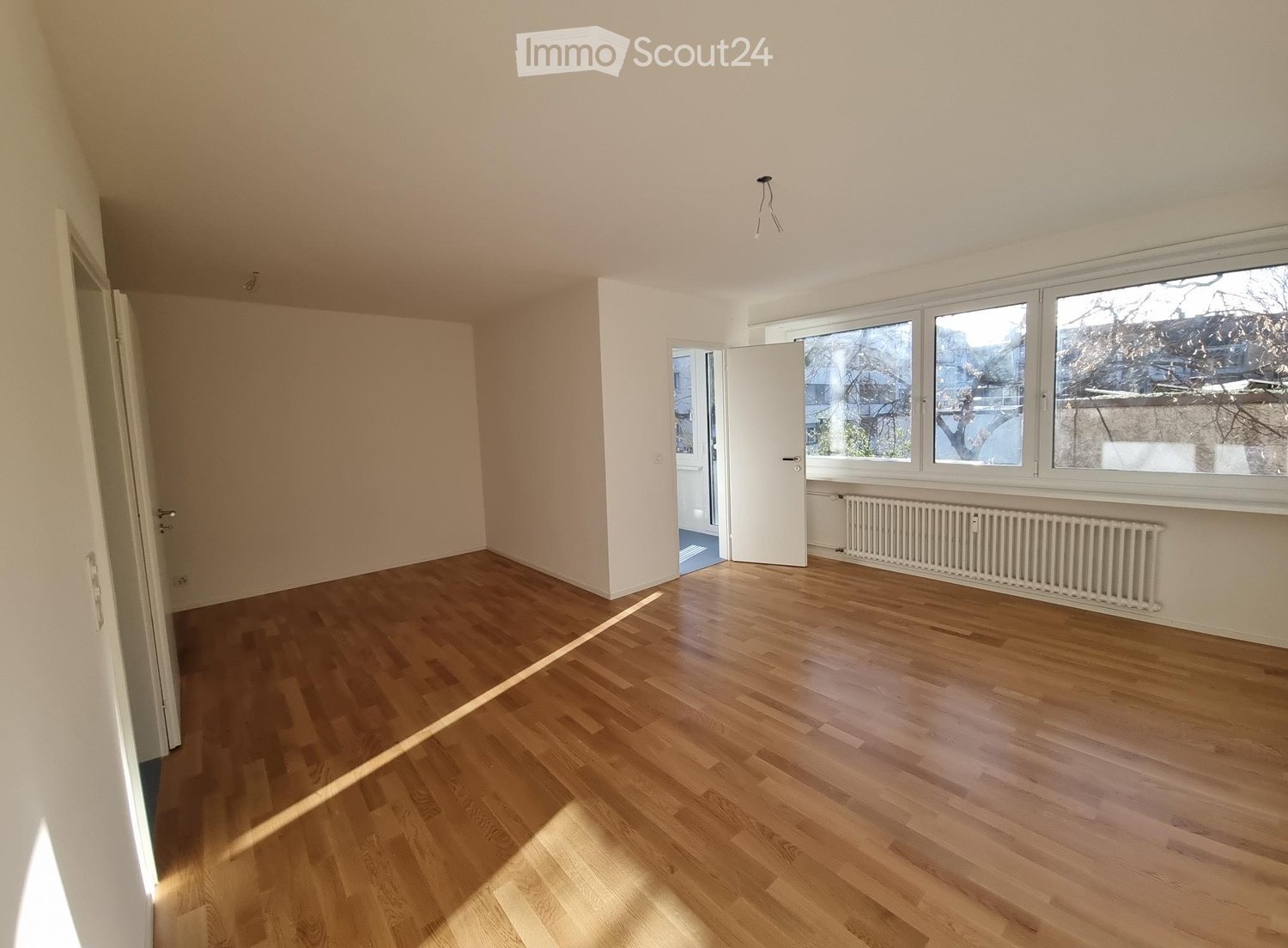 hardwood floor, white walls, white ceiling, large windows, radiator