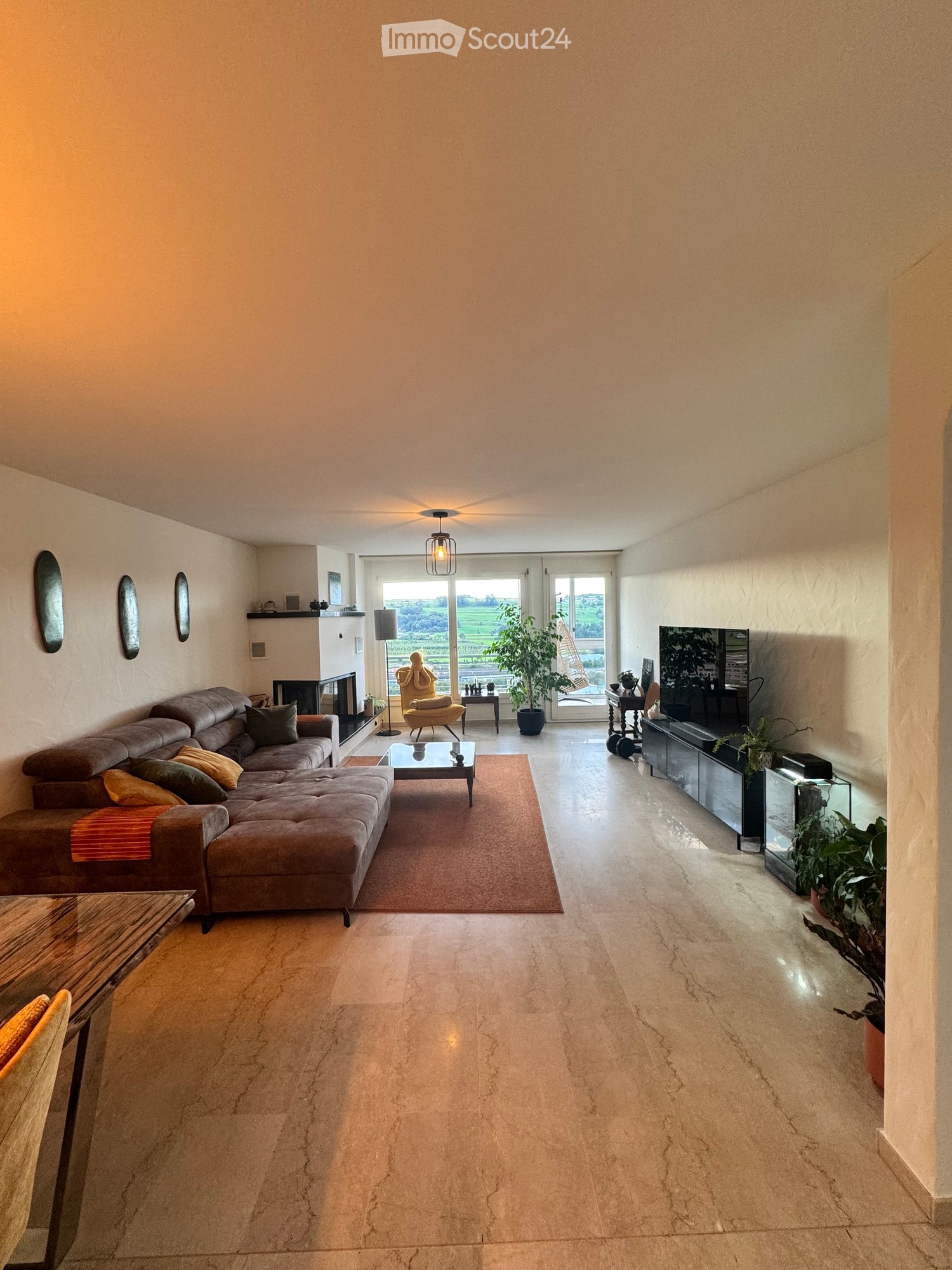 modern living room with couch, glass table, fireplace, tv