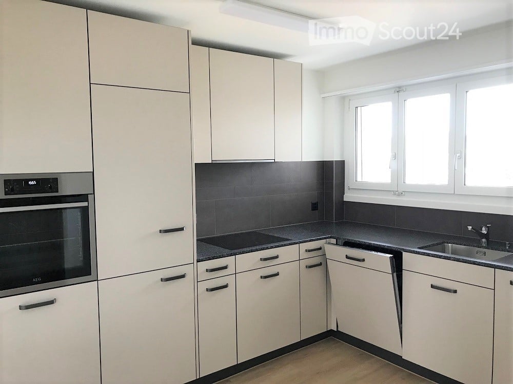 modern kitchen, white cabinets, black countertops, dishwasher, washing machine, stainless steel sink, windows, integrated oven