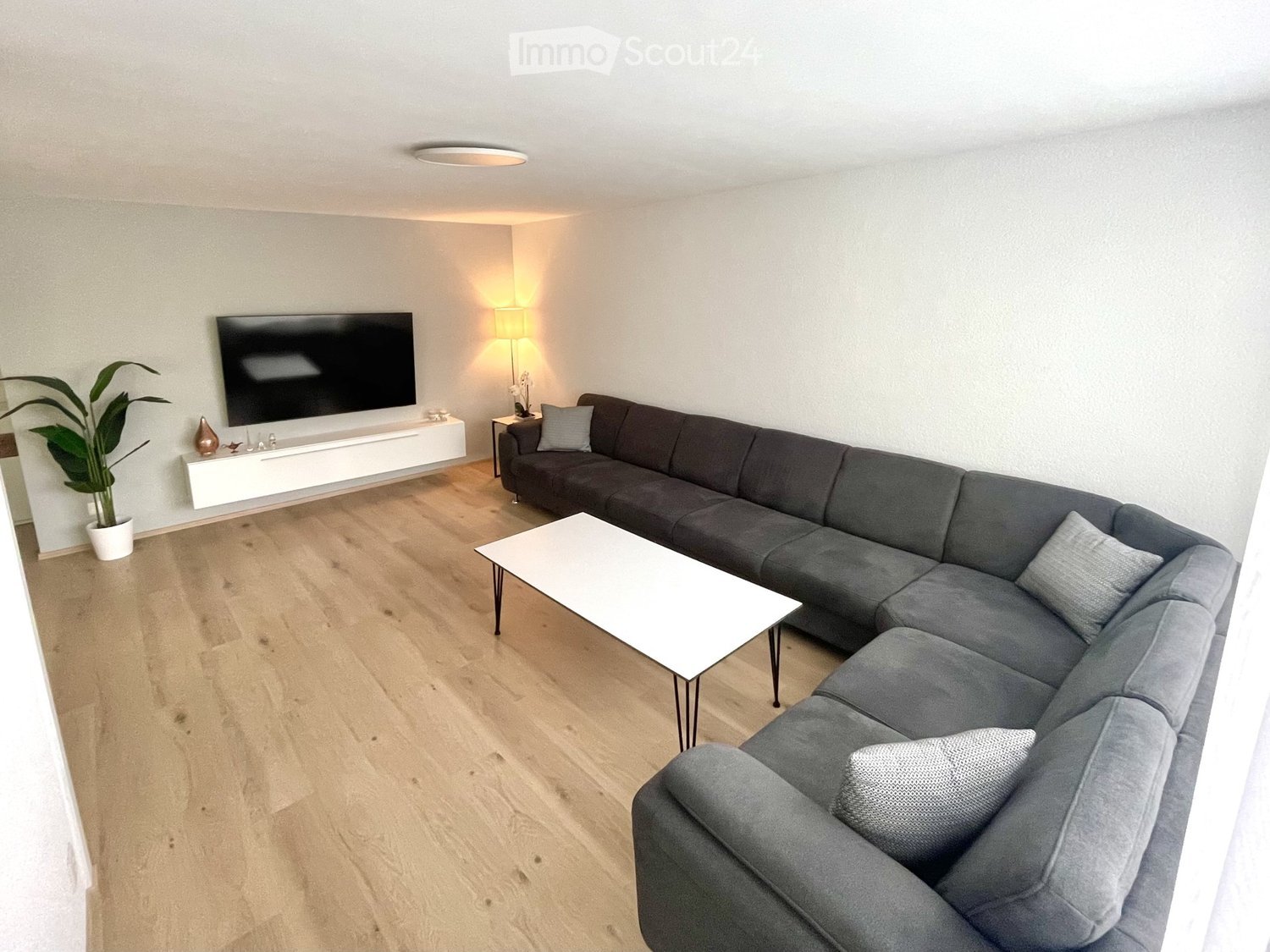 large L-shaped couch, white coffee table, TV, lamp, white floor, white wall, potted plant