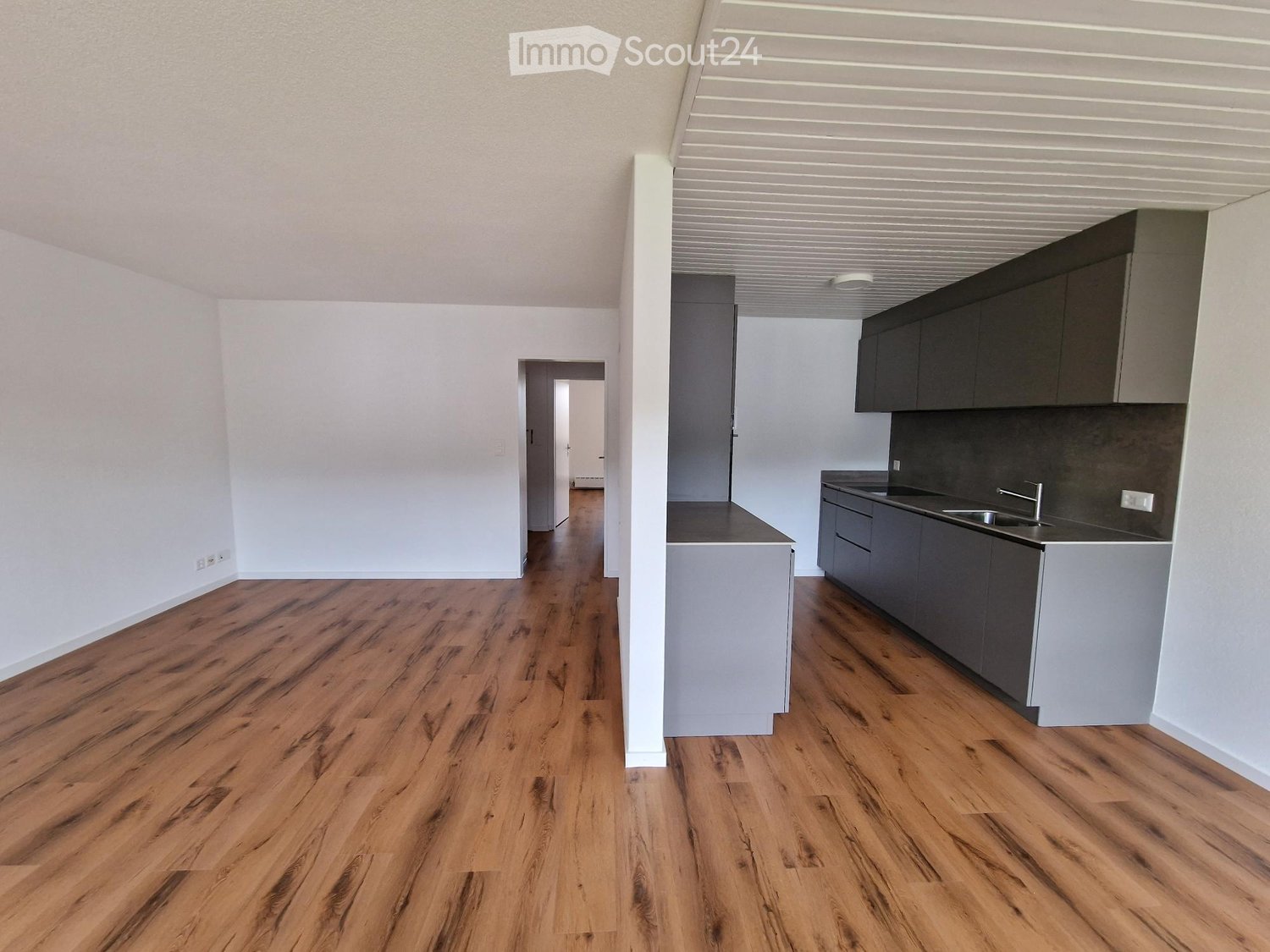 Open kitchen with sink, countertop, cabinets, hallway leading to bedrooms, hardwood floors