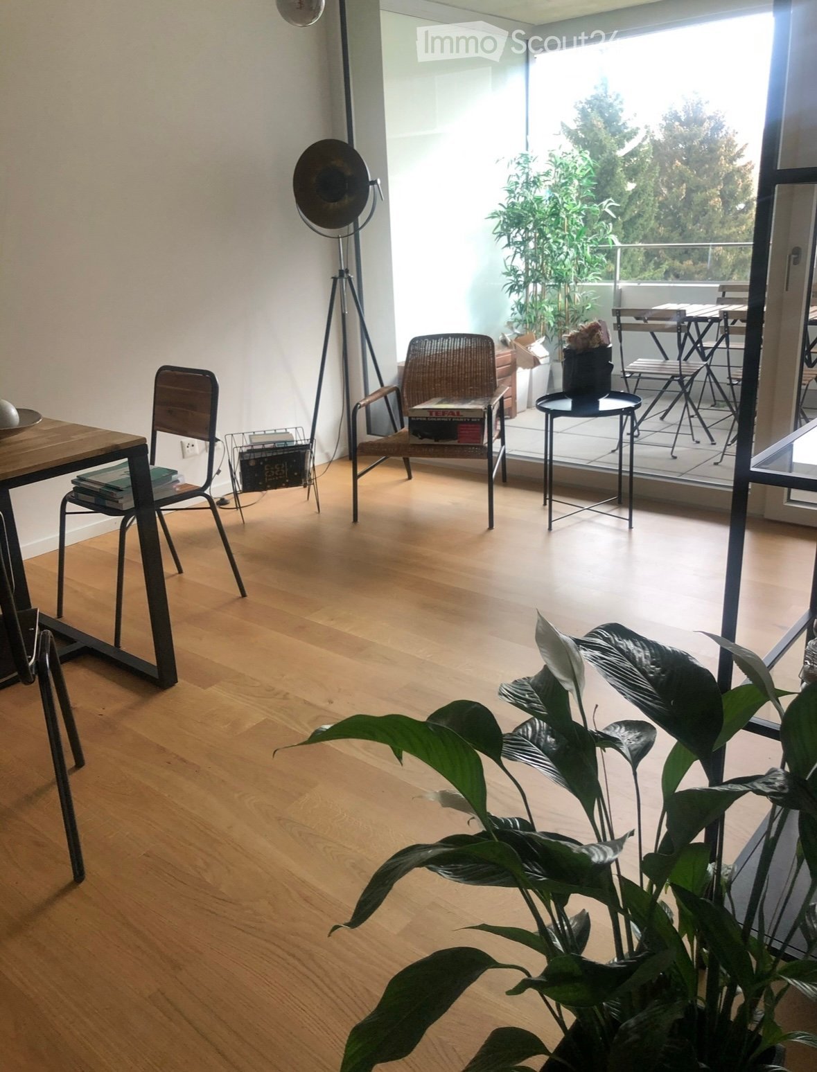 Wooden floor, white walls, a table, chairs, a glass balcony, standing lamp, plants, a book