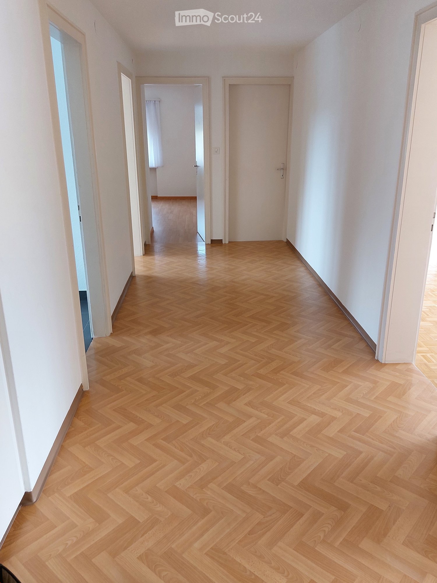 corridor with parquet flooring, white walls, closed doors, no visible furniture