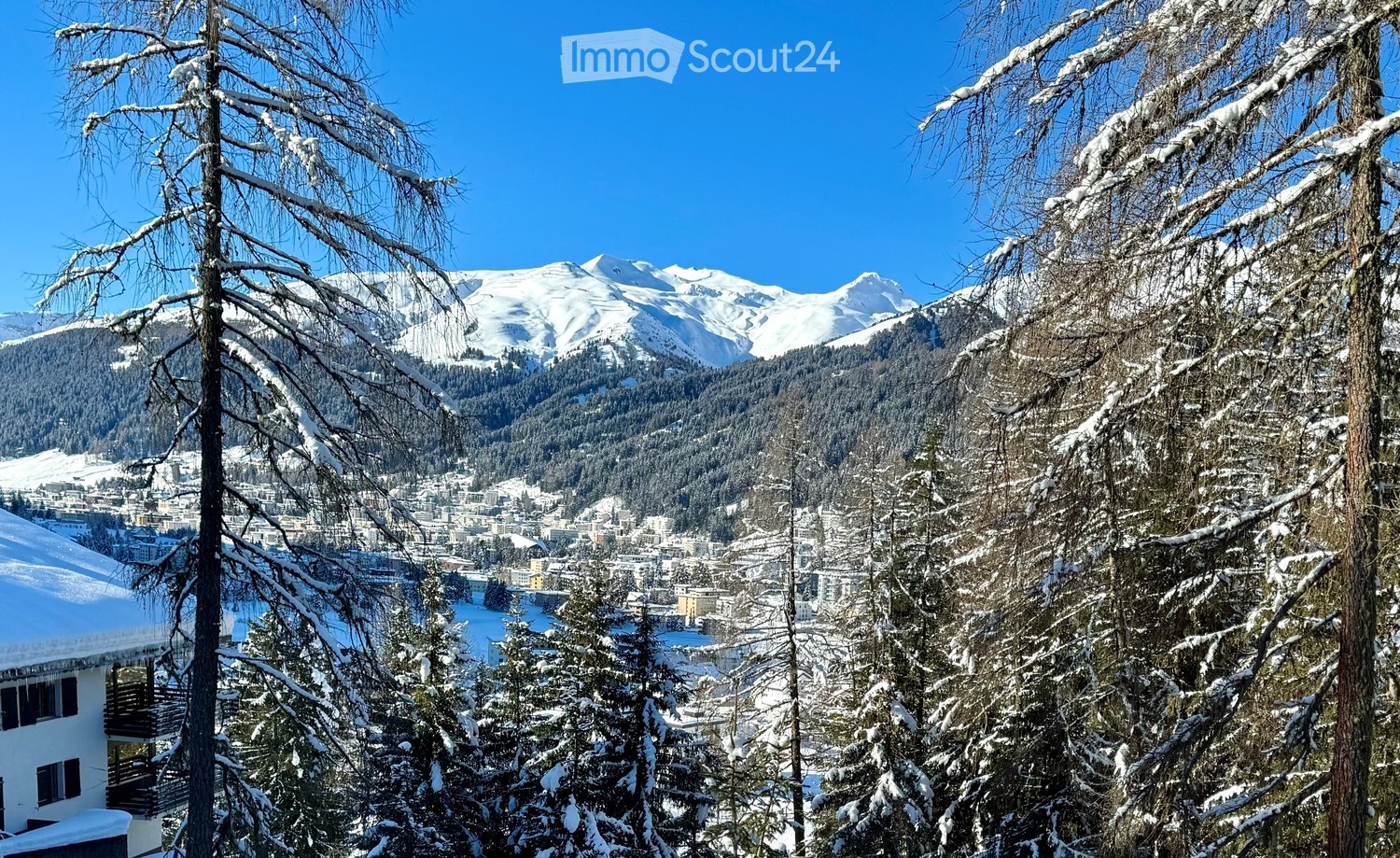 Snowy mountain view, trees covered in snow, town below
