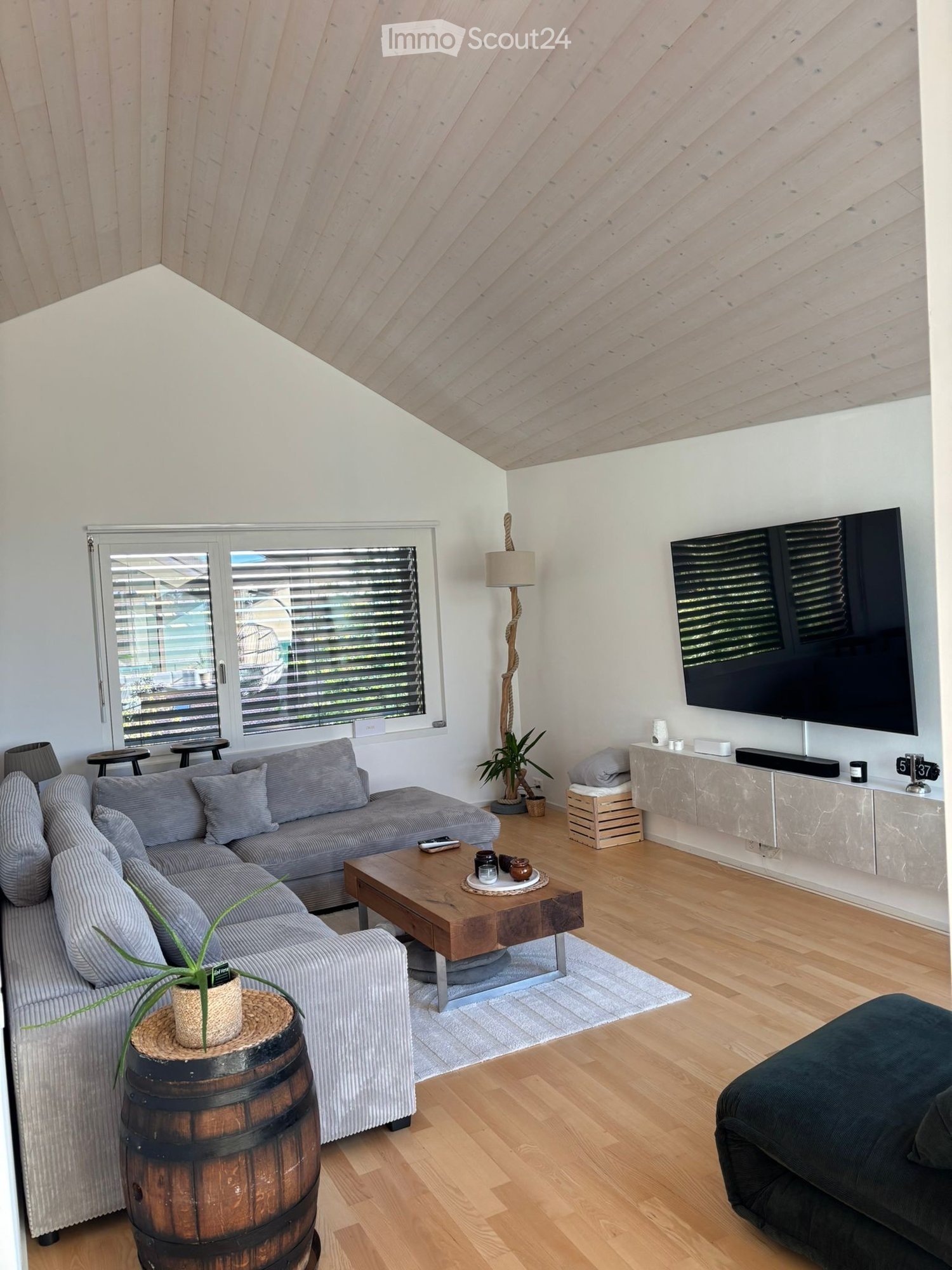 living room with hardwood floors, gray couch, coffee table, flatscreen TV, large windows with blinds, side table, potted plant, barrel, sofa