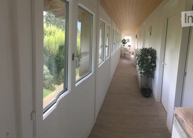 A long hallway with multiple doors and windows, wooden floors, potted plant.