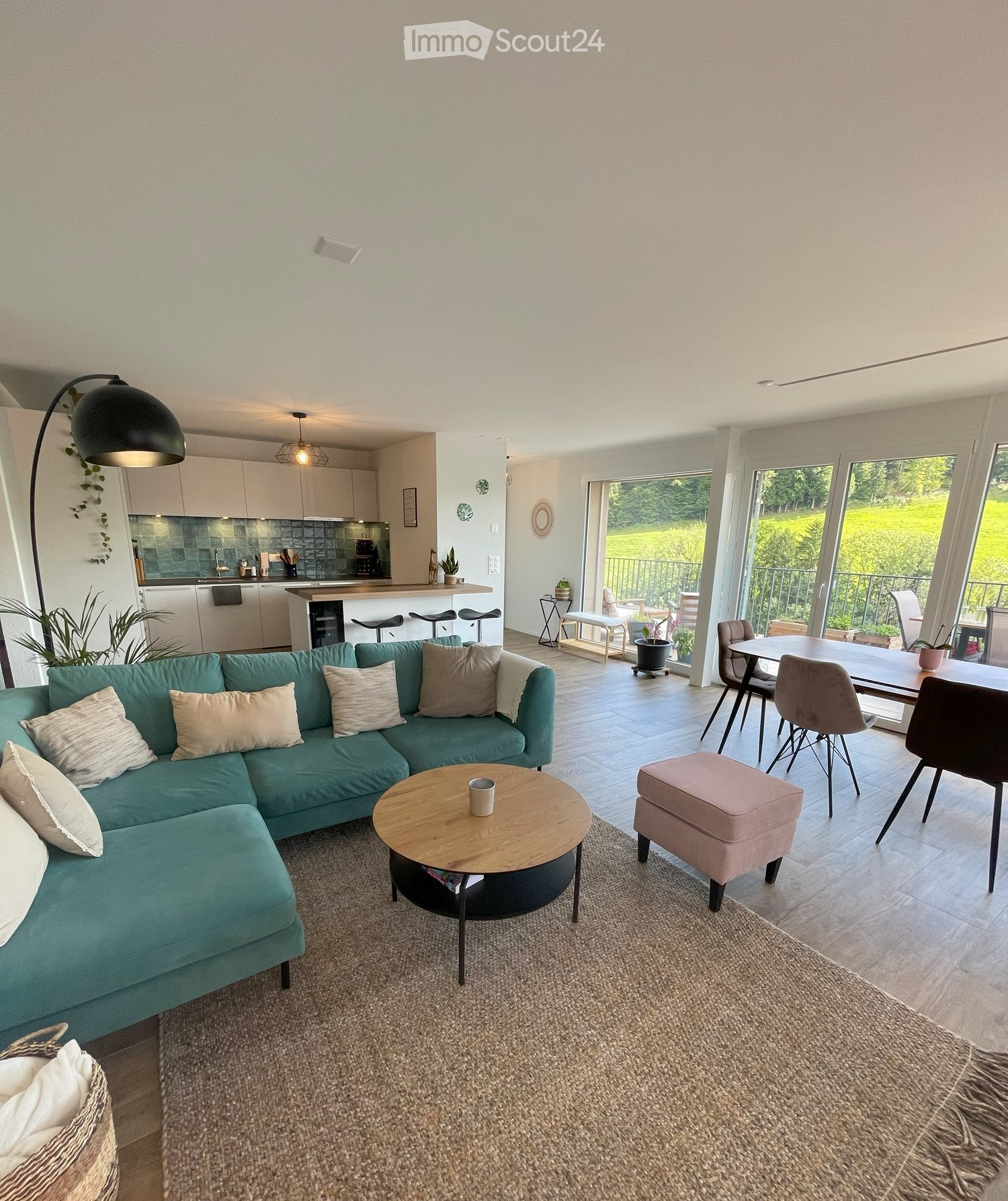 Living room with kitchen, sofa, table, chairs, plants, balcony