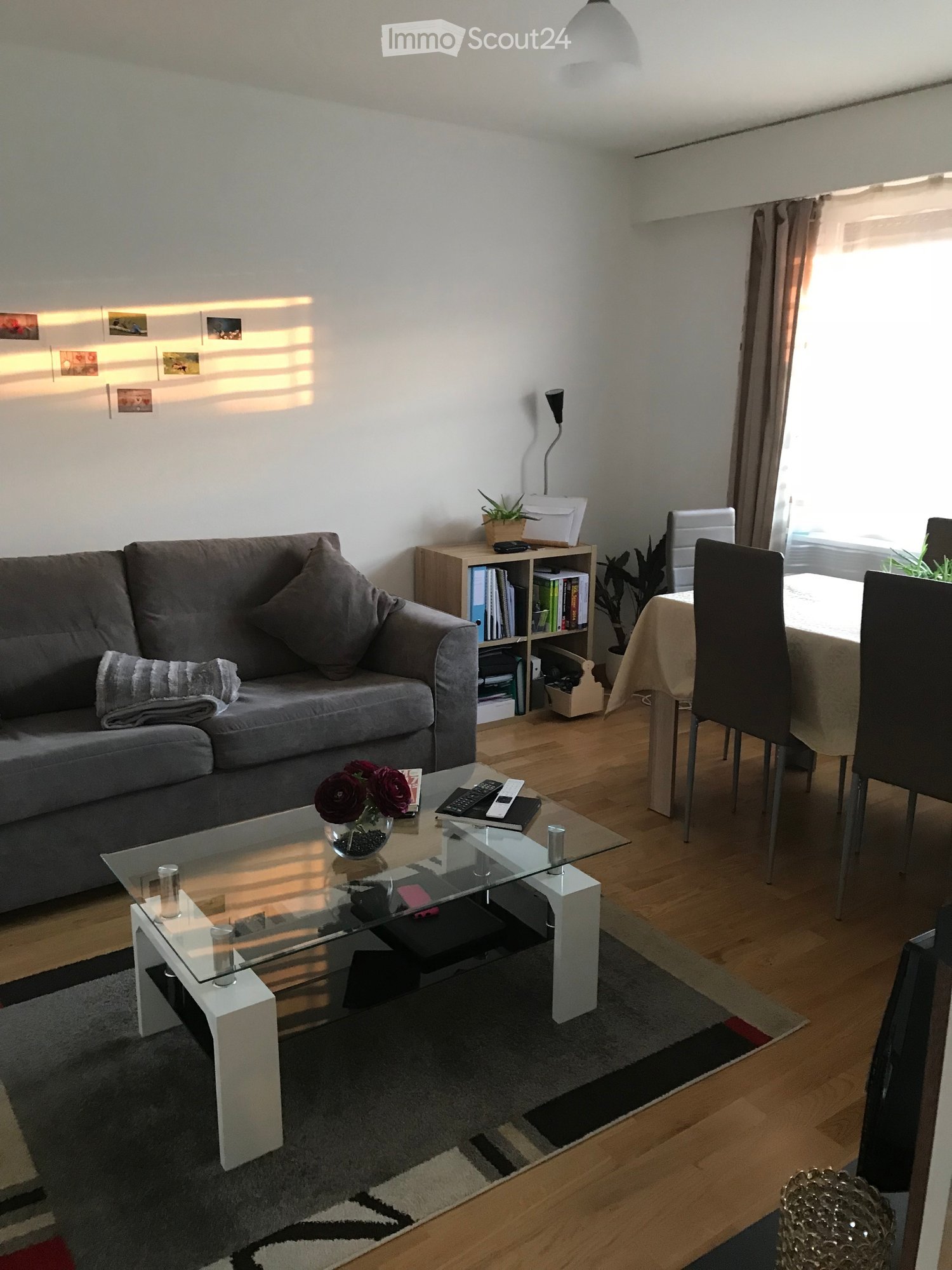 Wooden floor, couch, coffee table, bookshelf, dining table with chairs