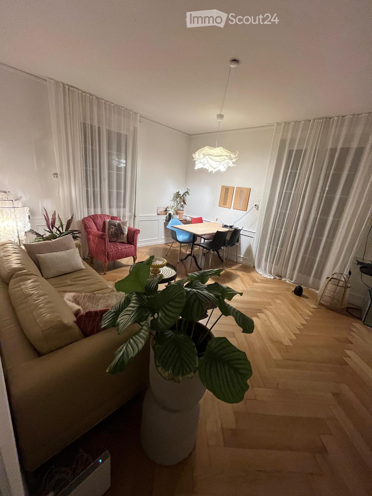 white walls, beige couch, wooden floor, white curtains, dining table, lamps, large indoor plant, red armchair