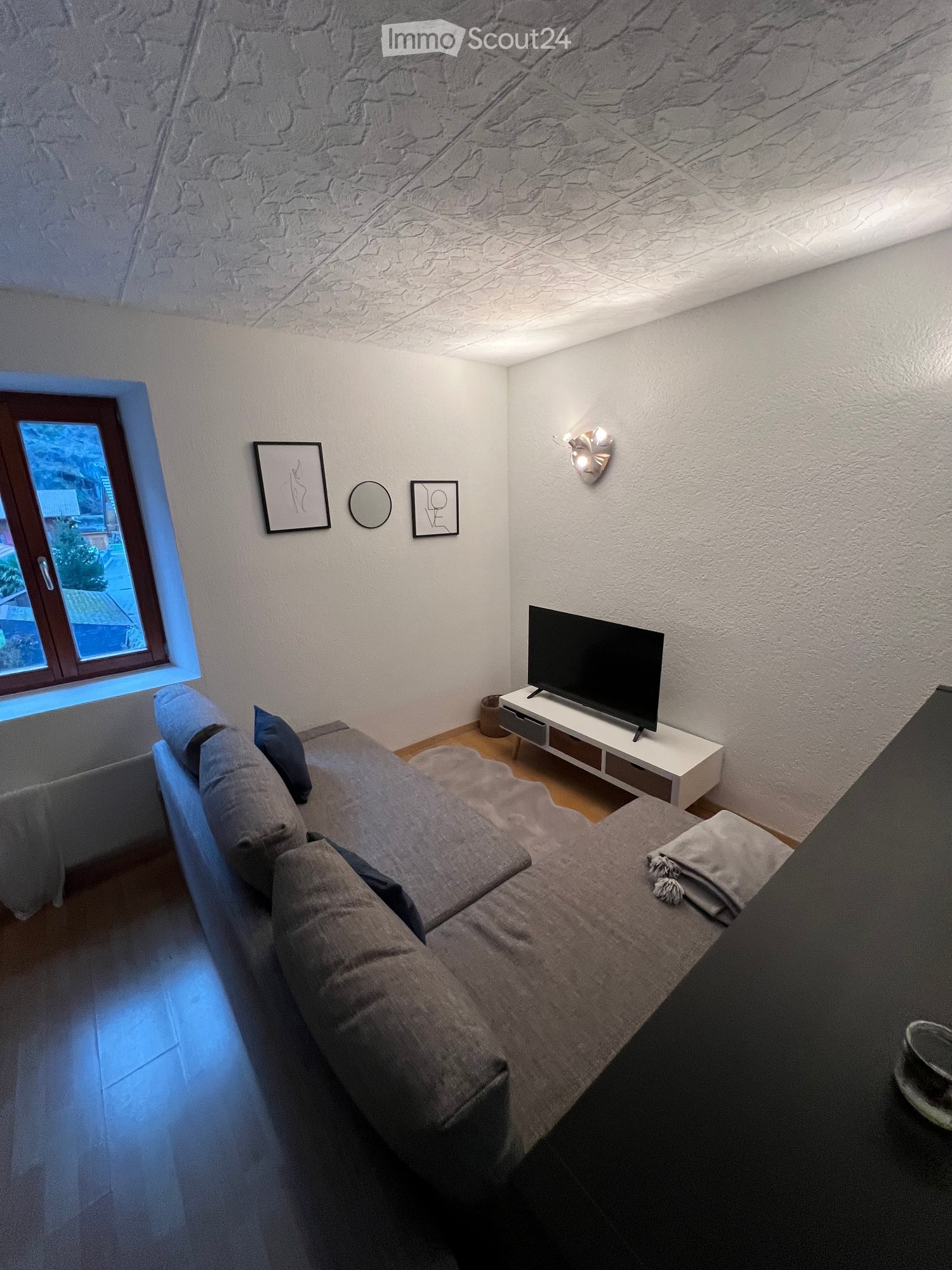 Gray L-shaped sofa, flat-screen TV on white stand, framed pictures on wall, white ceiling, light blue carpet
