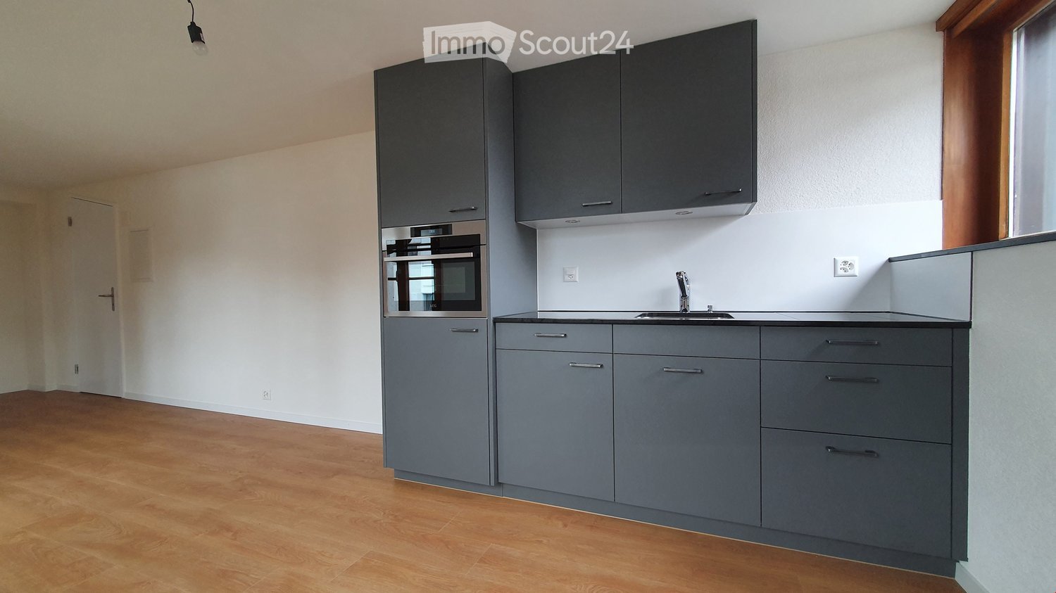 modern gray cabinets, wooden floor, white walls, double oven, dishwasher, sink, countertop, light fixture