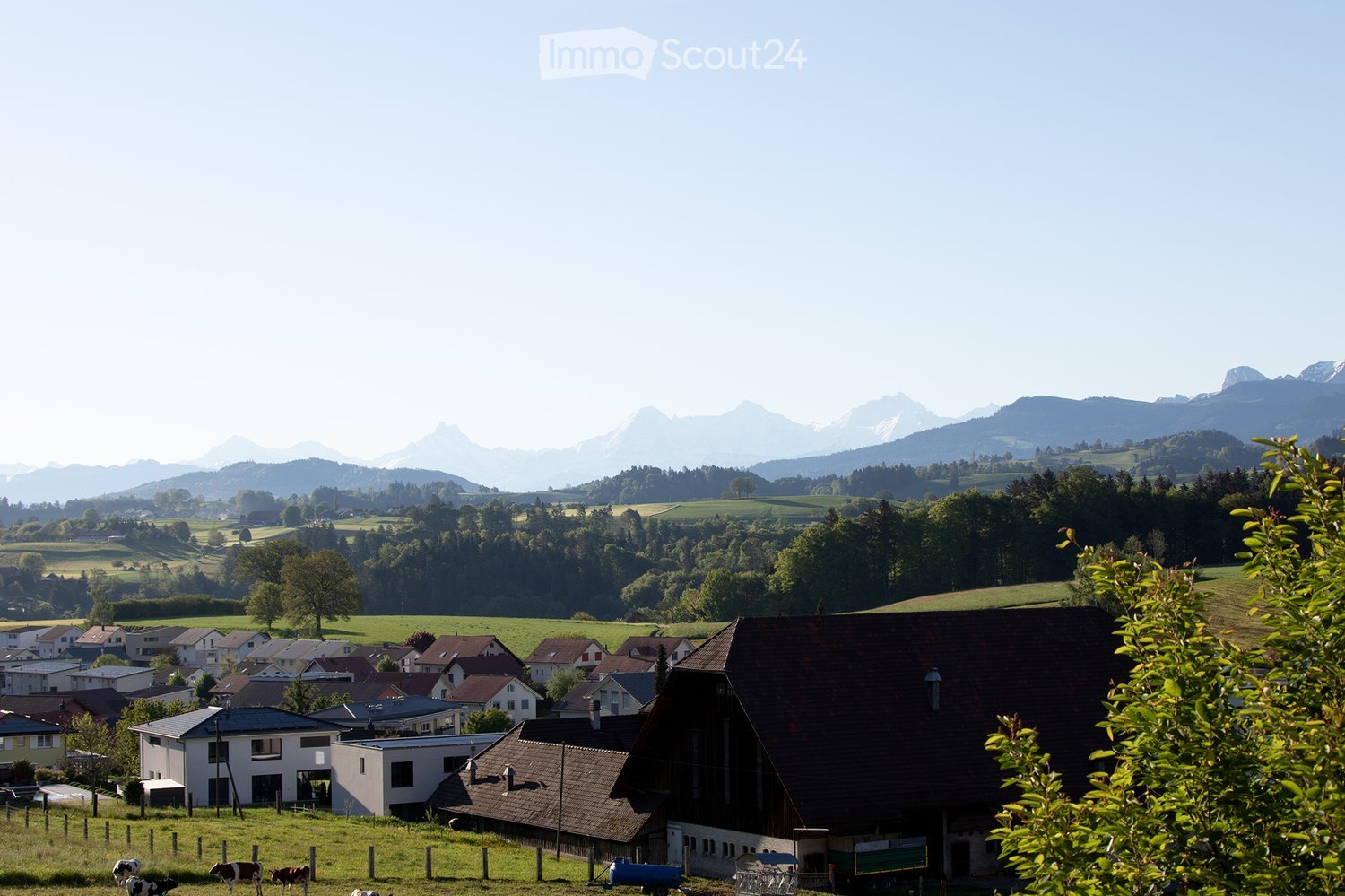 Mountain village with houses, barns, cows grazing, green fields, tree-lined hills, mountains in the distance, clear sky