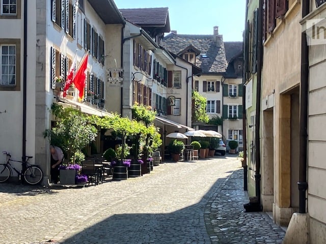 cobblestone street, two-story buildings, flags, greenery, umbrellas, bicycle, car