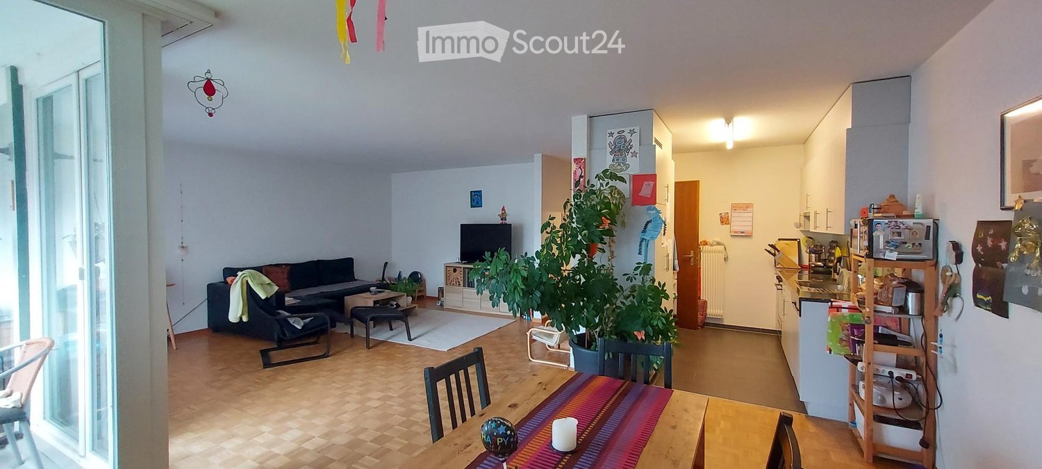 modern living room, dining table, sofa, coffee table, carpet, shelves, plants