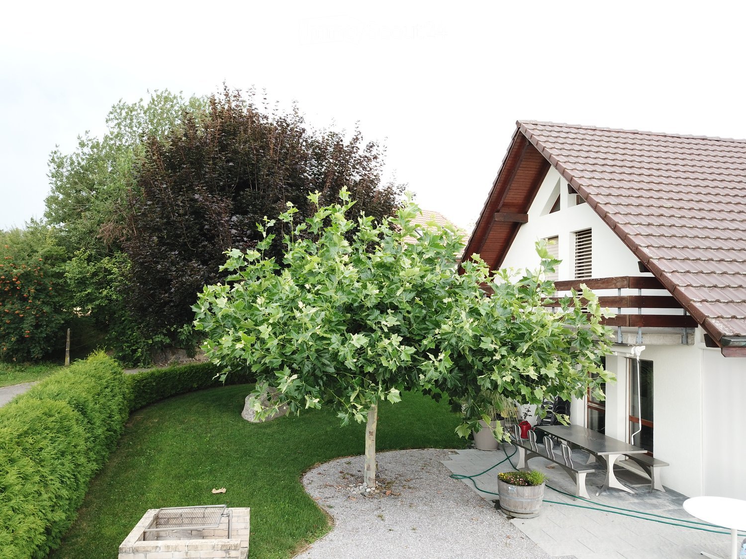 Immobilie in Hagneck - Einfamilienhaus in Hagneck - Bild 15