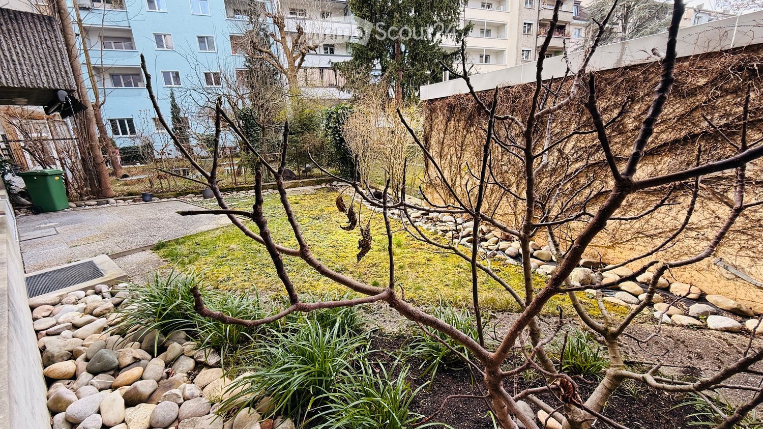 A garden area with small plants, rocks, grass, and a tree with no leaves, surrounded by a paved sidewalk, with a trash bin, and a large white building in the background.