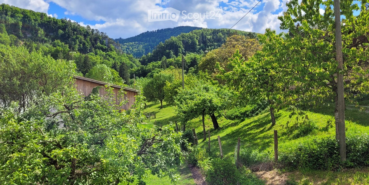Green grass, brown barn, multiple trees, bushes, fenced field, distant mountains