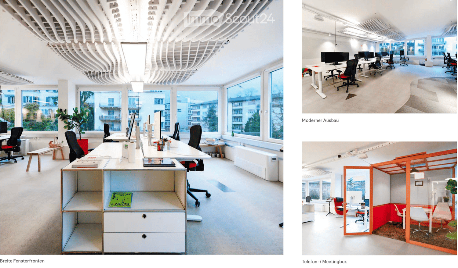 Modern office, large windows, white walls, desk, chairs, computers, natural light, indoor plants
