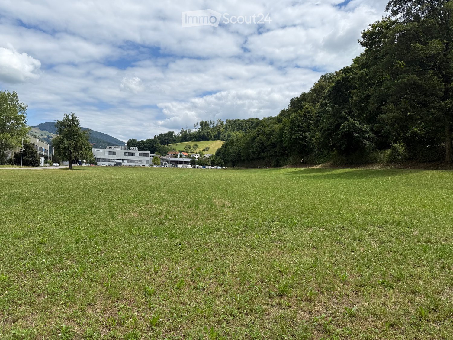 large open grassy field, trees, mountains in the background, cloudy sky
