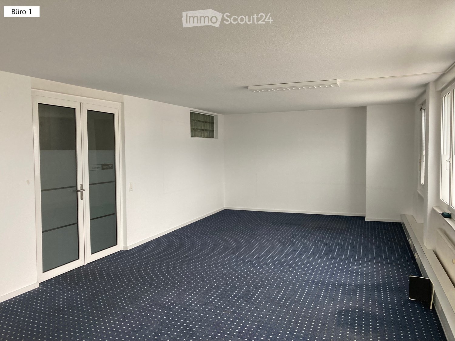 empty room, white walls, blue carpet, glass door, windows, ceiling light