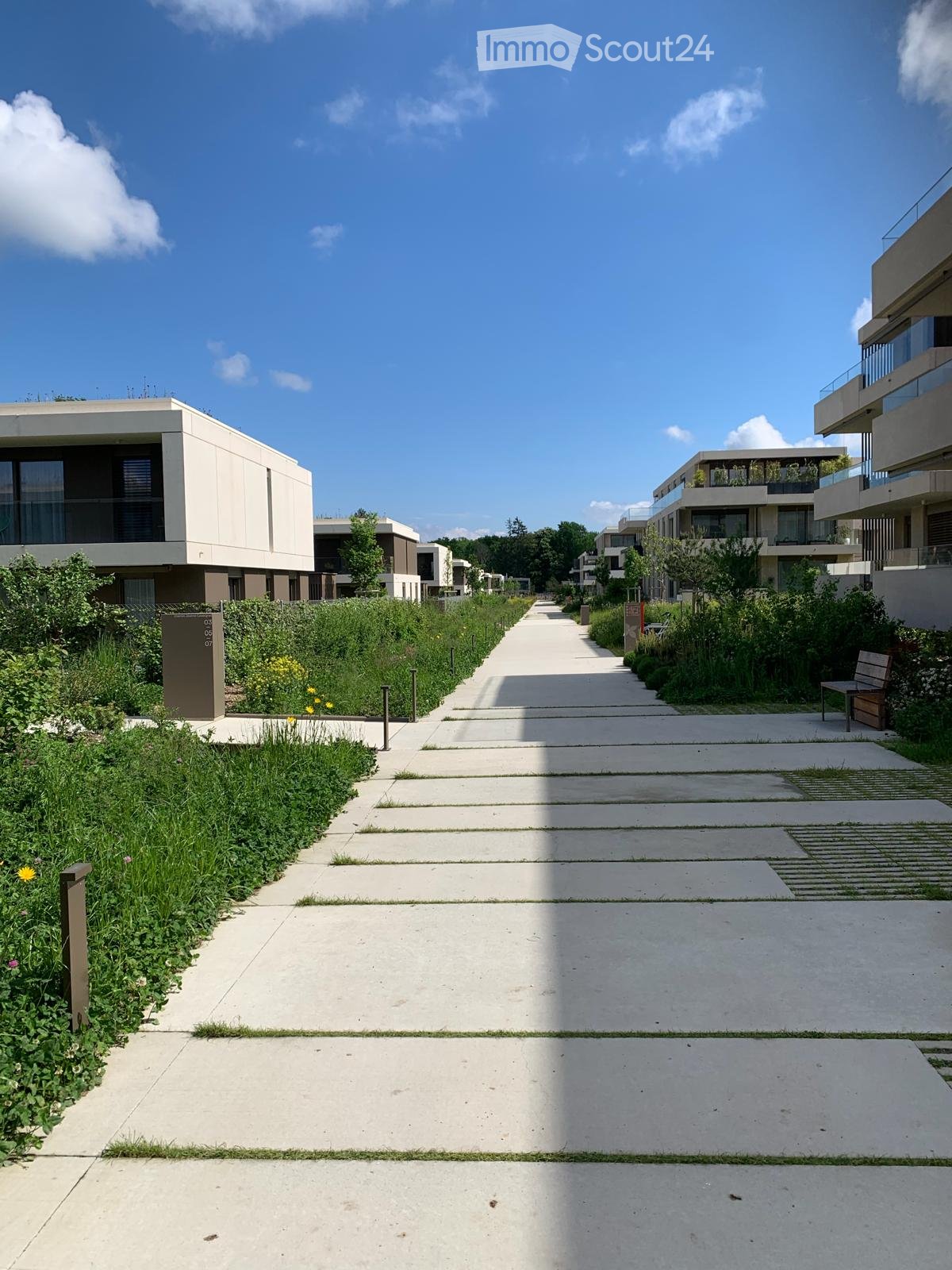 A wide concrete pathway in a garden with grass on both sides, surrounded by trees and bushes, with a bench on the right side.