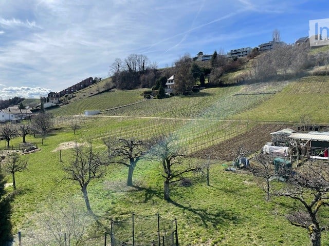 hillside garden with trees, vineyard, houses in the distance