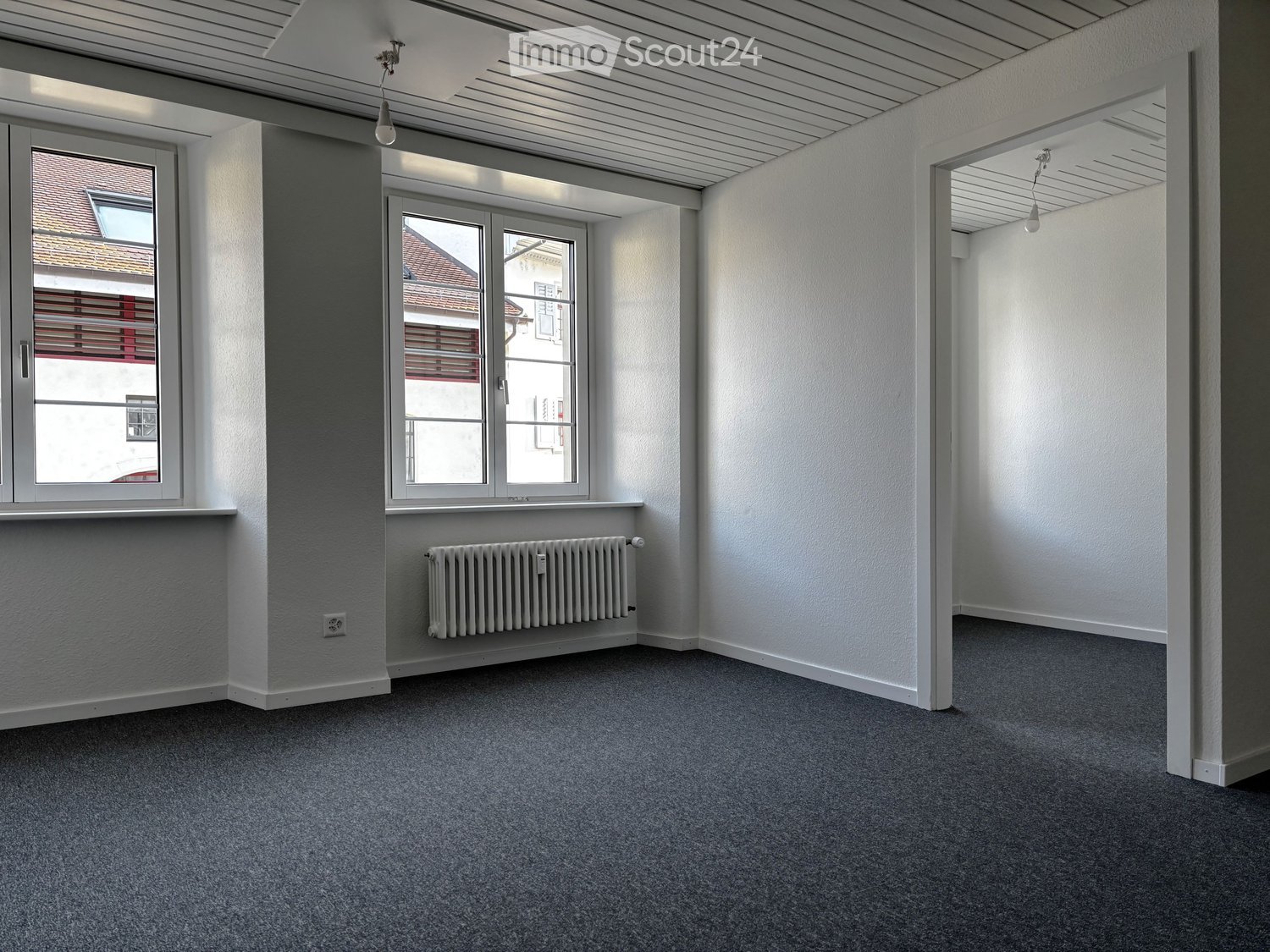 empty room, white walls, white ceiling, white radiator, two windows, gray carpet