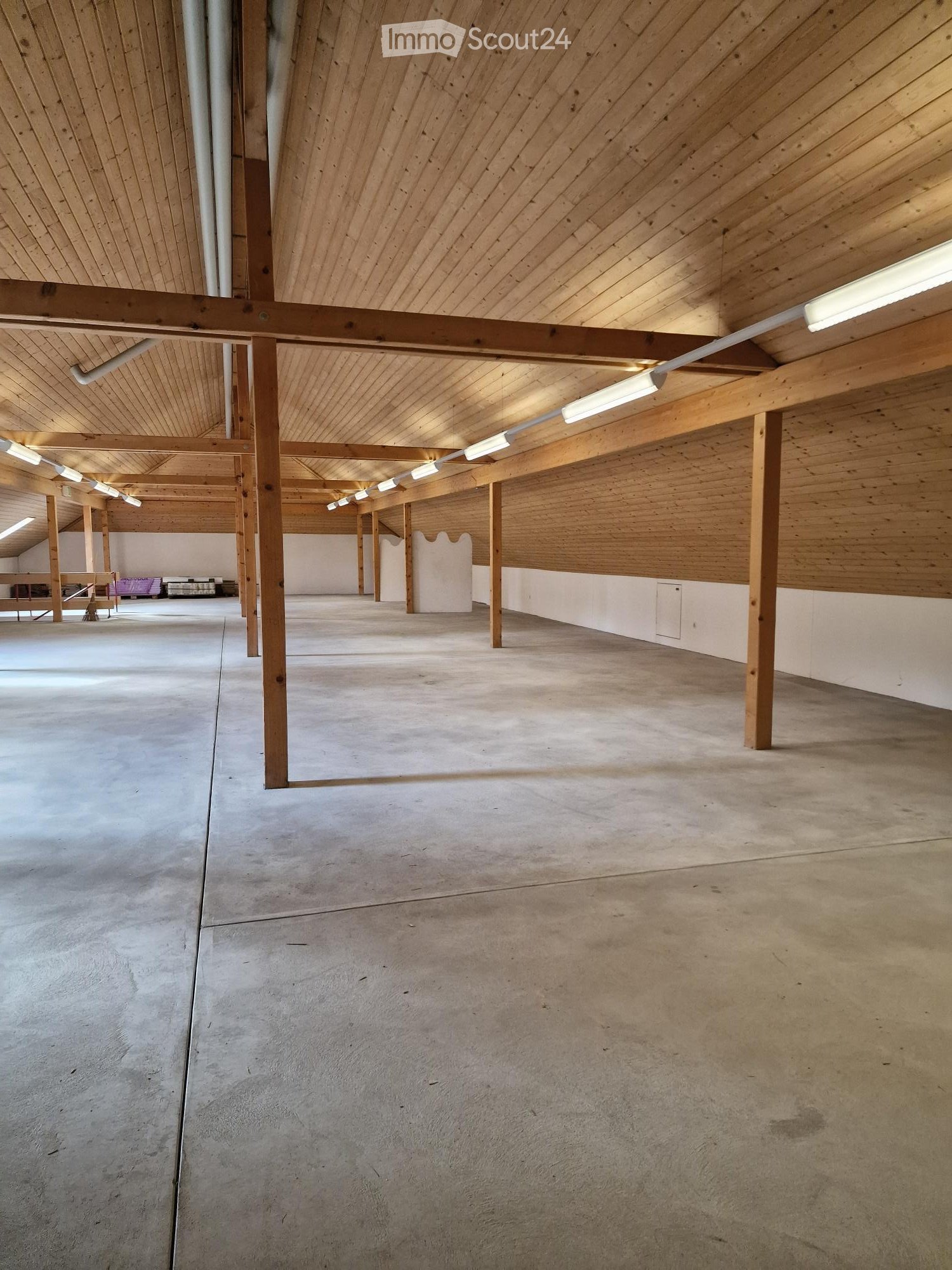 Empty room with wooden beams, concrete floor, white walls, and ceiling lights