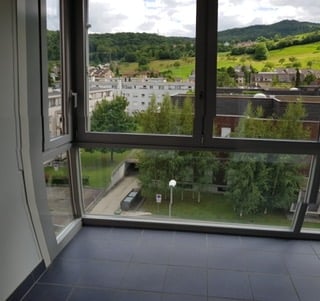 large window, view of the city, trees, mountains
