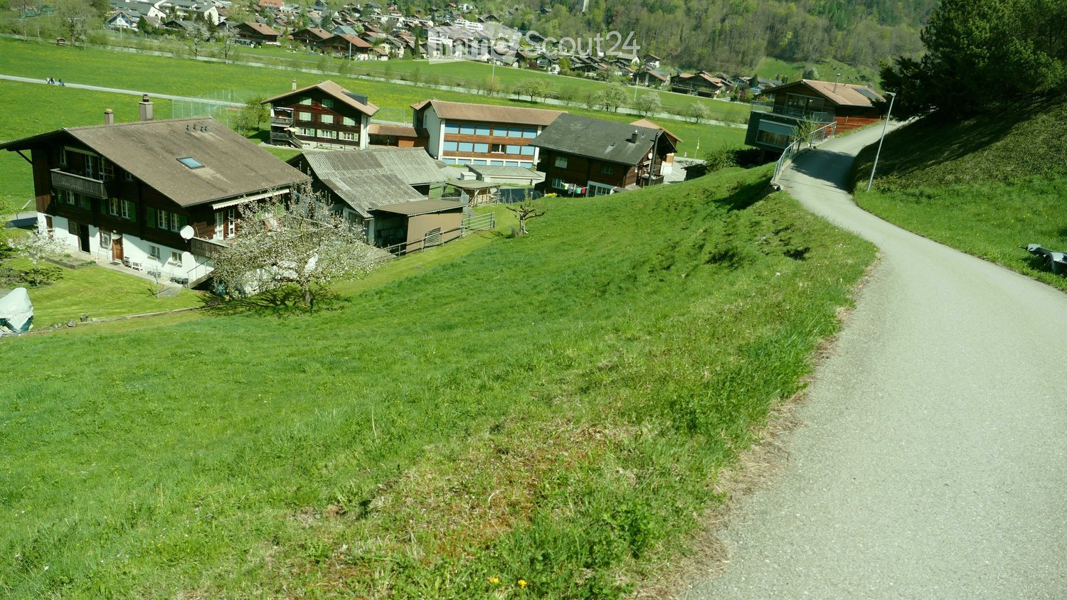 Swiss-style houses, brown roofs, white walls, surrounded by green fields and trees, pathway leading to the houses